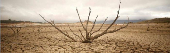 Columna: “Sequía e impacto en el ingreso familiar”